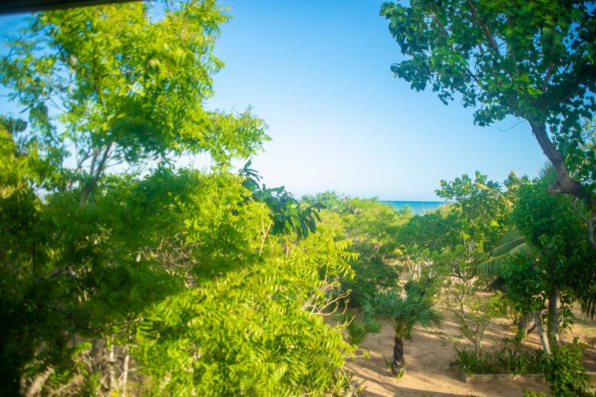 Nikara Luxury Beach House Tissamaharama Εξωτερικό φωτογραφία